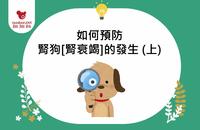 如何预防肾狗[肾衰竭]的发生 (上)