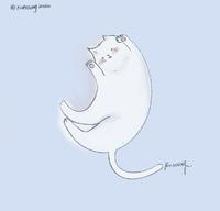 猫咪也疯狂!?盘点五大猫咪怪行为,你们家猫星人上榜了吗?