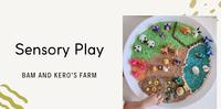 亲子活动|感官游戏|包姆与凯罗的农场日常 #sensoryplay