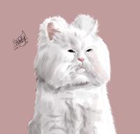 《插画》金正喵在此,猫猫变成金正恩的制作过程
