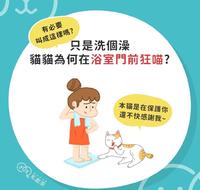 只是洗个澡 猫猫为何在浴室门前狂喵?