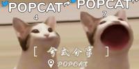 新闻|趣味|夺金牌!POPCAT 迷因猫点击大赛全球第一