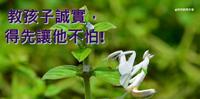 《说谎的背後是害怕》