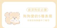 资深狗奴必读|狗狗爱的5种表现,你家狗狗都中了吗?