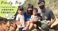 苗栗|亲子旅游|实地体验玩中学，鸡蛋知识之旅