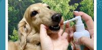 臭味滚|宠物口腔喷雾推荐|打击口臭救星,拒绝一开口吓跑铲屎官!|宠物|开箱|宠物用品推荐