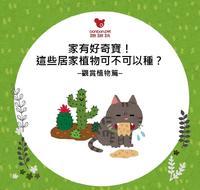 家有好奇宝!这些居家植物可不可以种?–观赏植物篇