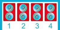 【大众占卜】关於所想之事，YES OR NO？-《智慧神谕卡》4选1