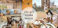 ?新竹宠物友善餐厅|有田咖啡 Youtian Cafe|在田埂中的超夯打卡咖啡厅!