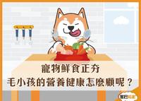 关於毛小孩的营养健康