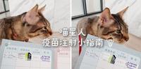 猫咪疫苗注射小指南?