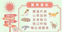 『 夏季猫咪防中暑 』