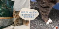 体验|草恩极净味无尘砂,铲屎同时帮助浪猫!