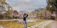 【台中景点】台中苗圃落羽松