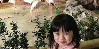「亲子游乐推荐」新竹关西六福村生态度假旅馆