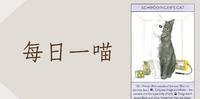 【每日一喵】猫咪大师 : 薛丁格的猫 (Schrdinger's cat)