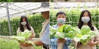 Orange Hotel & Hostel Chiayi 桔子商旅&青旅-嘉义店 – 小朋友毕业後之旅