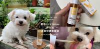 宠物保健开箱｜宠老大Petboss 卵の油 血管保健蛋黄油 高龄毛孩必备宠物保健食品