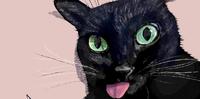 《插画》可爱鬼脸黑猫 :
