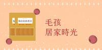 闷坏了!居家宠物照顾分享