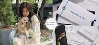 比闺蜜更会stalk！解锁藏在你血液里「基因的秘密」，超准结果让人惊掉下巴！惊喜送上波妞专属福利！