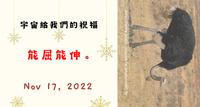 心理测验︱你是鸵鸟吗? 要面对现实还是发挥阿Q精神? (无时效性)