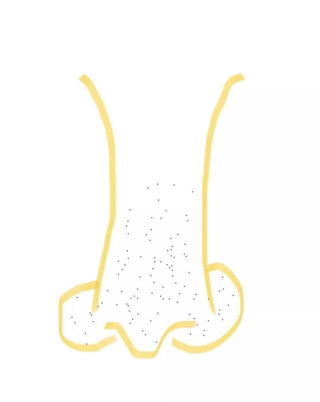 紧急大曝光！跟着骆大娘学护肤！去黑头全套搞定