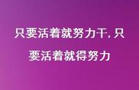 只要活着就得努力(100句)