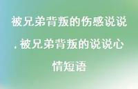 被兄弟背叛的说说心情短语(100句)