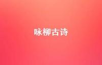 咏柳古诗42句汇总