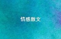 情感散文71句汇总