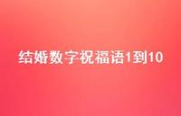 结婚数字祝福语1到10合集42句精选