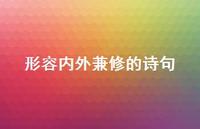 形容内外兼修的诗句(精选39句)