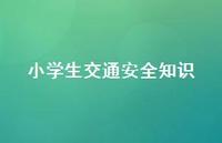 小学生交通安全知识41句汇总
