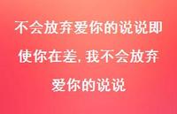 我不会放弃爱你的说说(100句)