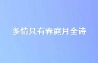 多情只有春庭月全诗46句汇总