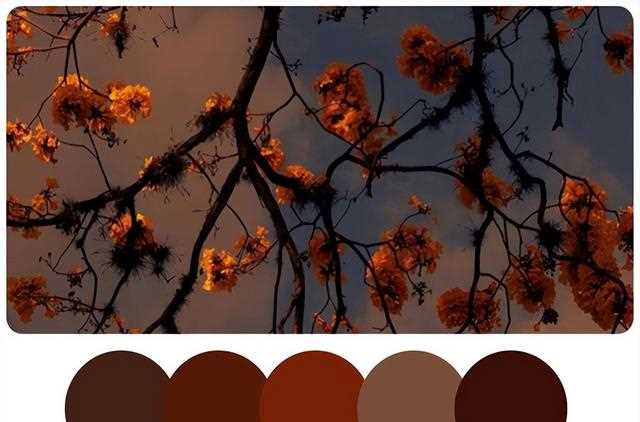 秋日穿搭绝不能错过的“绝色”——大地色！复古轻熟超显气质