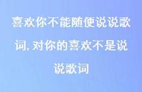 对你的喜欢不是说说歌词【100句文案】