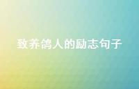 致养鸽人的励志句子(精选72句)