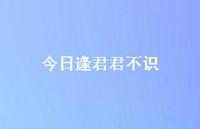 今日逢君君不识47句汇总 今日逢君君不识47句汇总