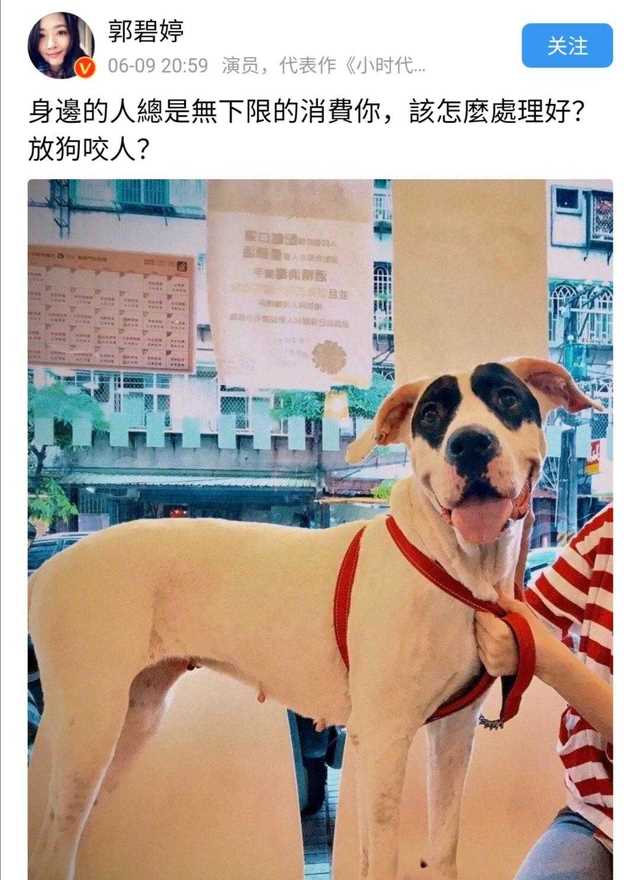 郭碧婷发文被消费，向太实力护儿媳，为什么向太这么喜欢郭碧婷？