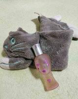 安娜苏 我爱洋娃娃（粉娃娃） Anna Sui Dolly Girl, 2003