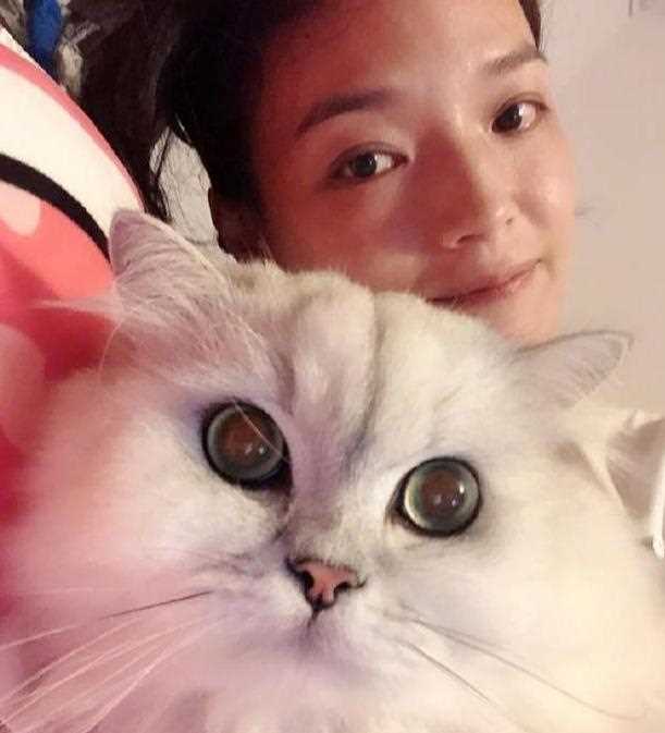 猫奴舒淇：就算过敏也要继续爱你