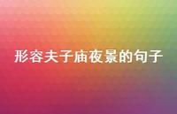 形容夫子庙夜景的句子(精选44句)