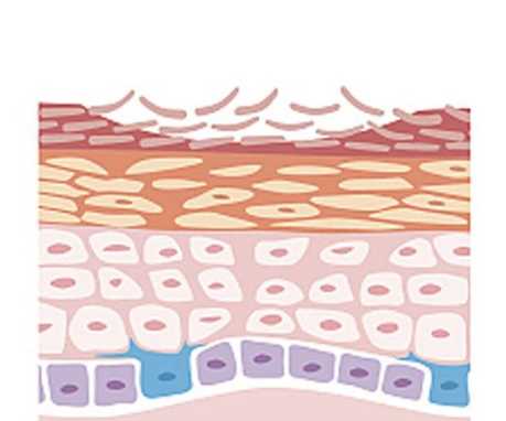 快住手，大部分女生都不知道的修眉刀使用禁忌