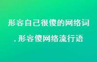形容傻网络流行语(100句)
