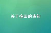关于挽回的诗句(精选41句) 关于挽回的诗句(精选41句)