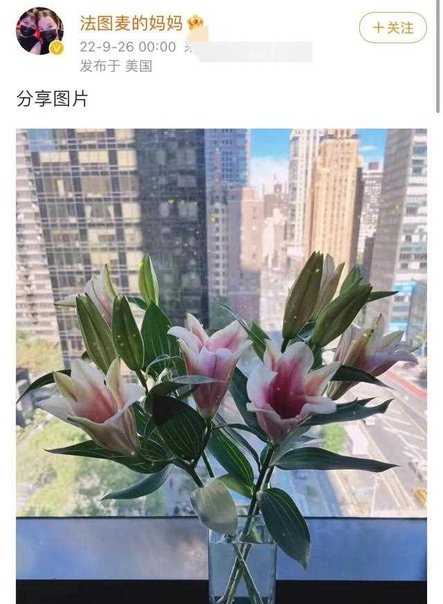 哈文：恐长居美国终生守寡，结婚纪念日卡点晒百合，难忘初恋李咏
