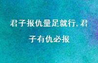 君子有仇必报【100句文案精选】 君子有仇必报【100句文案精选】