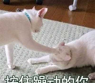 种草机，买来买去，还是这10款粉底液适合油性皮肤